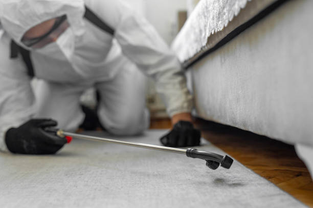 Professional Termite Control technician working in Dallas County County, AR